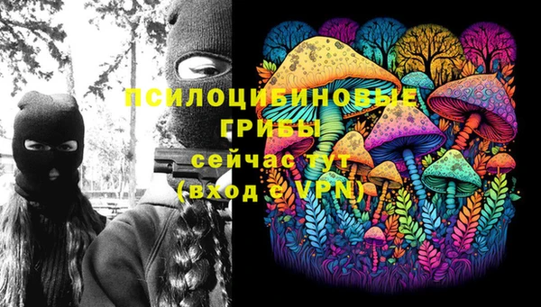 спиды Киреевск
