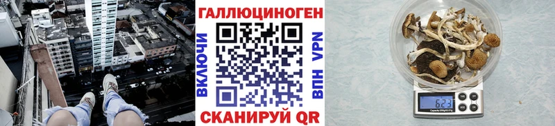 Галлюциногенные грибы мицелий  Купить закладки  Баймак 